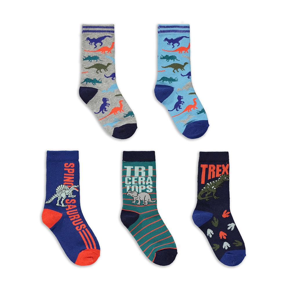 5 Pack Dino Socks Multi